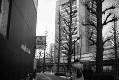 冬の女