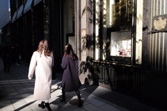 ブランドに陽は当たる