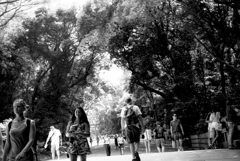 神宮は日本ではなくなりつつある