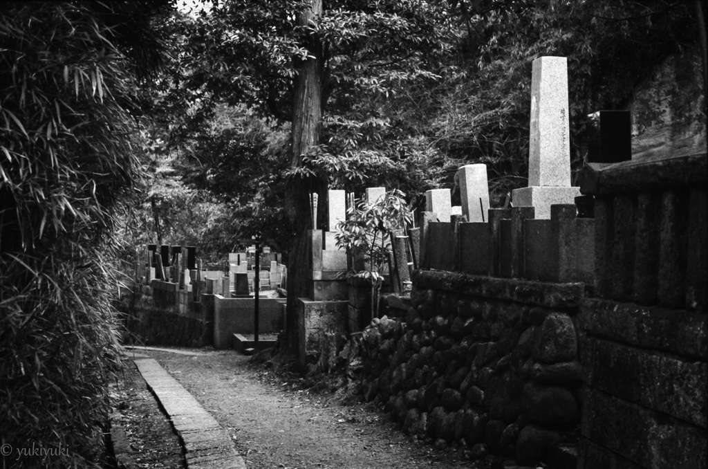 迷いこんだ小路にて