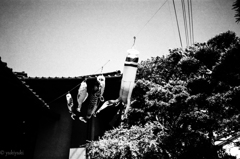 東海物語　悪魔の日