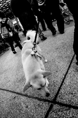 ミスショットに写ったもの