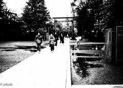 昭和枯れすすき