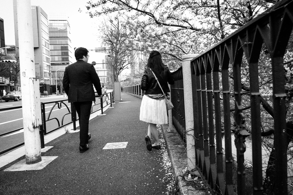桜の木の下で