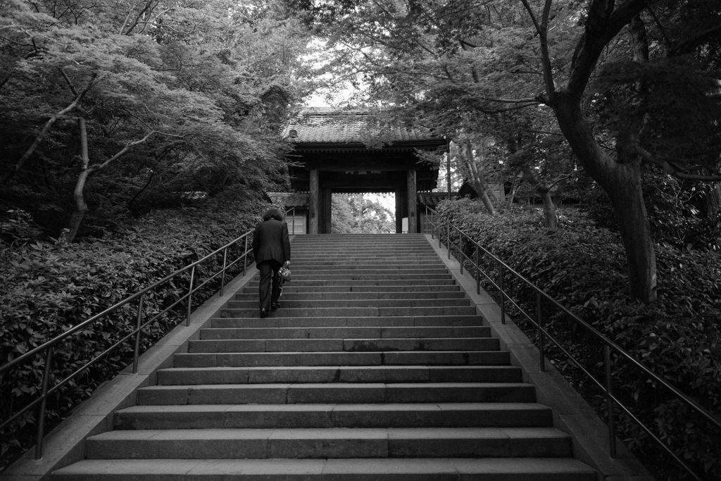 思うところあり