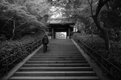 思うところあり