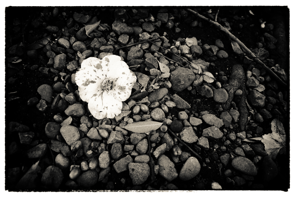 誰ひとり気付かない出来事