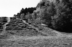 丘を目指すほどでもない