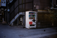 ＮＯＢＯＤＹ　但し鳩一羽