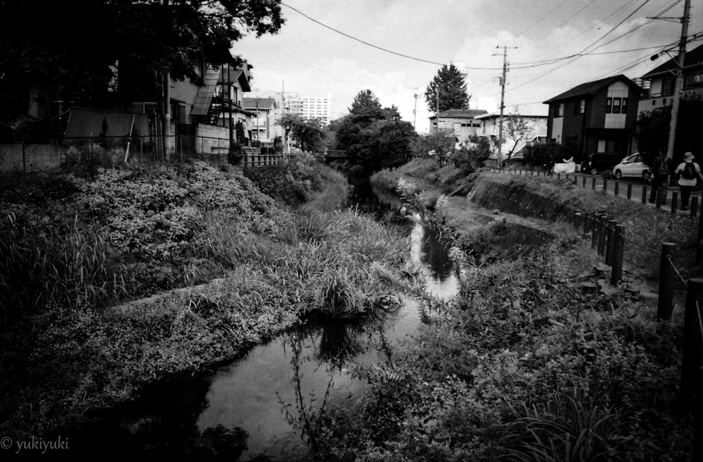 徳川慶喜公と同じ構図　　宿場物語