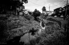 徳川慶喜公と同じ構図　　宿場物語