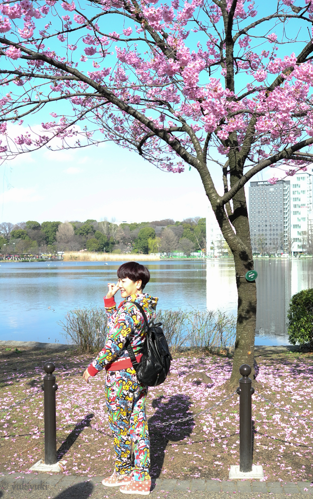 あの人は桜の親戚