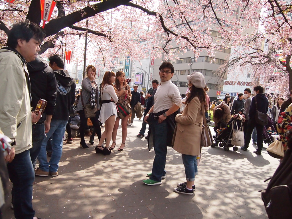 桜の下は喫煙所