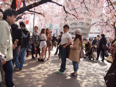 桜の下は喫煙所