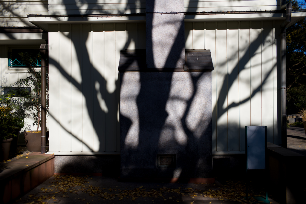 迫りくるシャドー