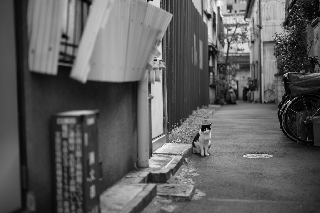 あいつとは気が合いそう
