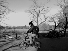 サイクリングヤッホー