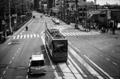 ラストちんちん電車