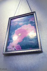 あるラーメン屋