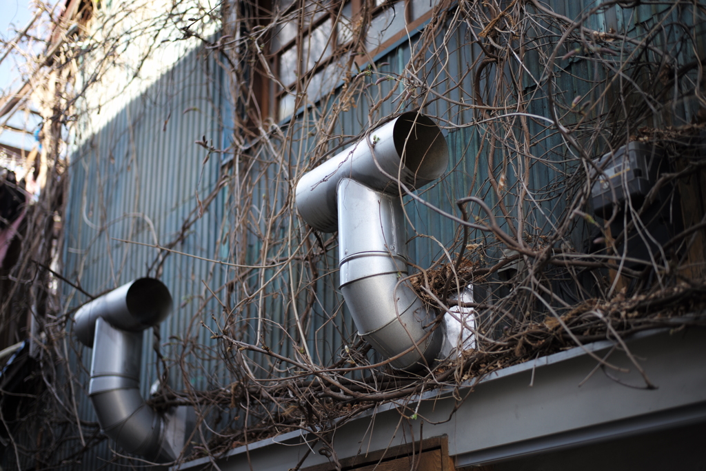 僕達はやっぱりモジャモジャ