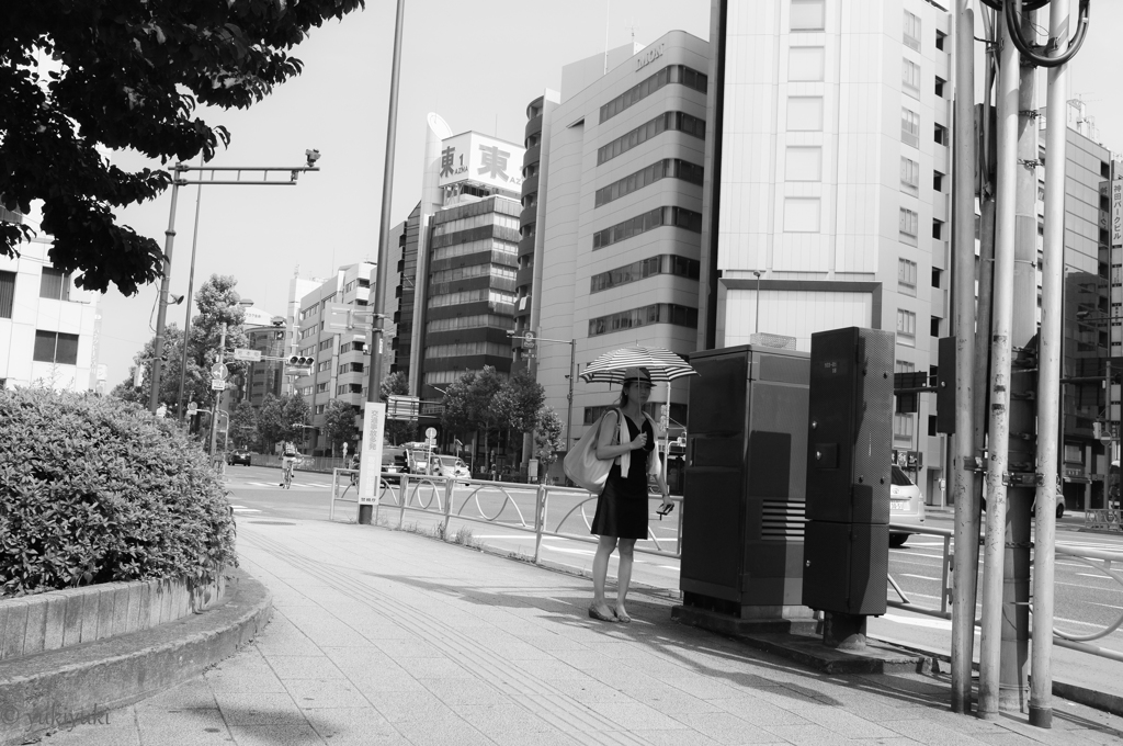 わずかな日陰に逃げてみた