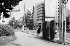 わずかな日陰に逃げてみた
