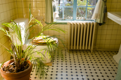 こんなところでクソしたい　ロングバケーション