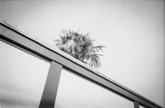 なんじゃこの写真