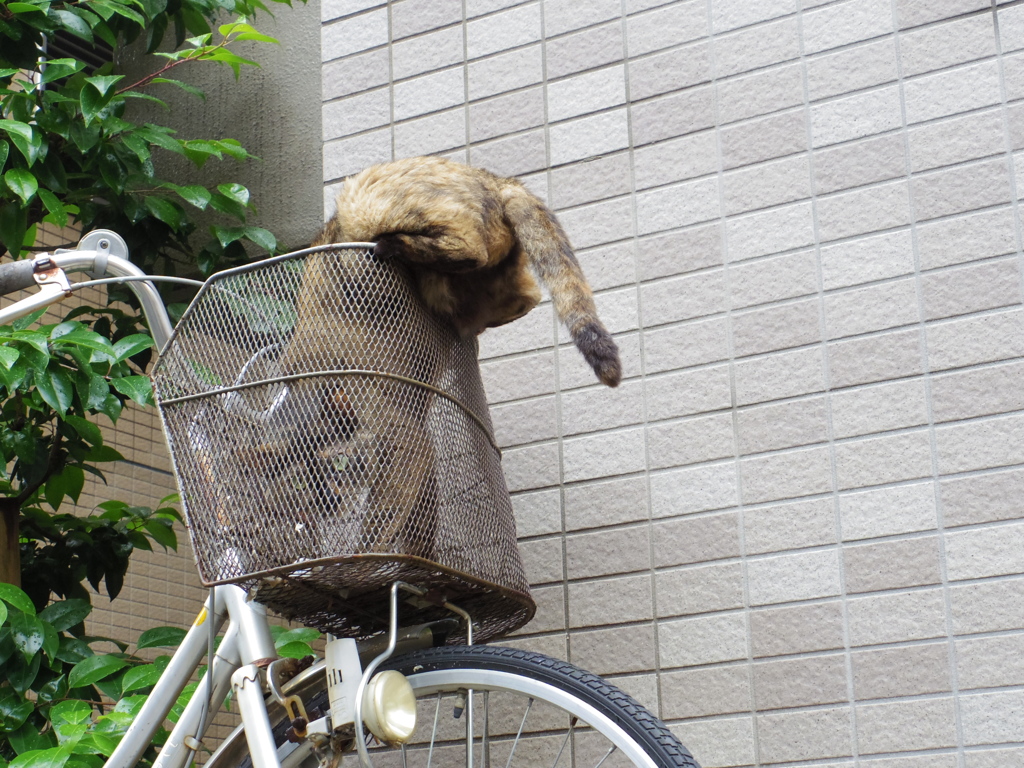 何見てんだよ？・・・と