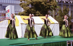 美しきハワイアン