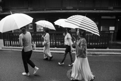雨の散策