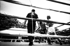 明日はどっちだ