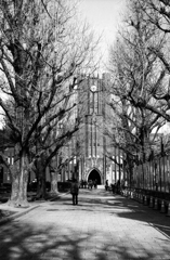 私の願いは叶った　アクロスⅡ　復活