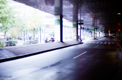 雨に濡れている