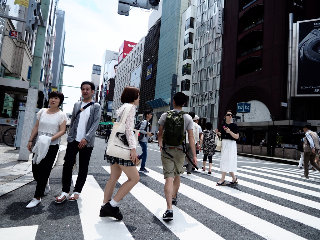 錯綜する日曜日