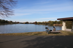 水面に映った日