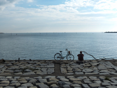 俺の人生をみつめて