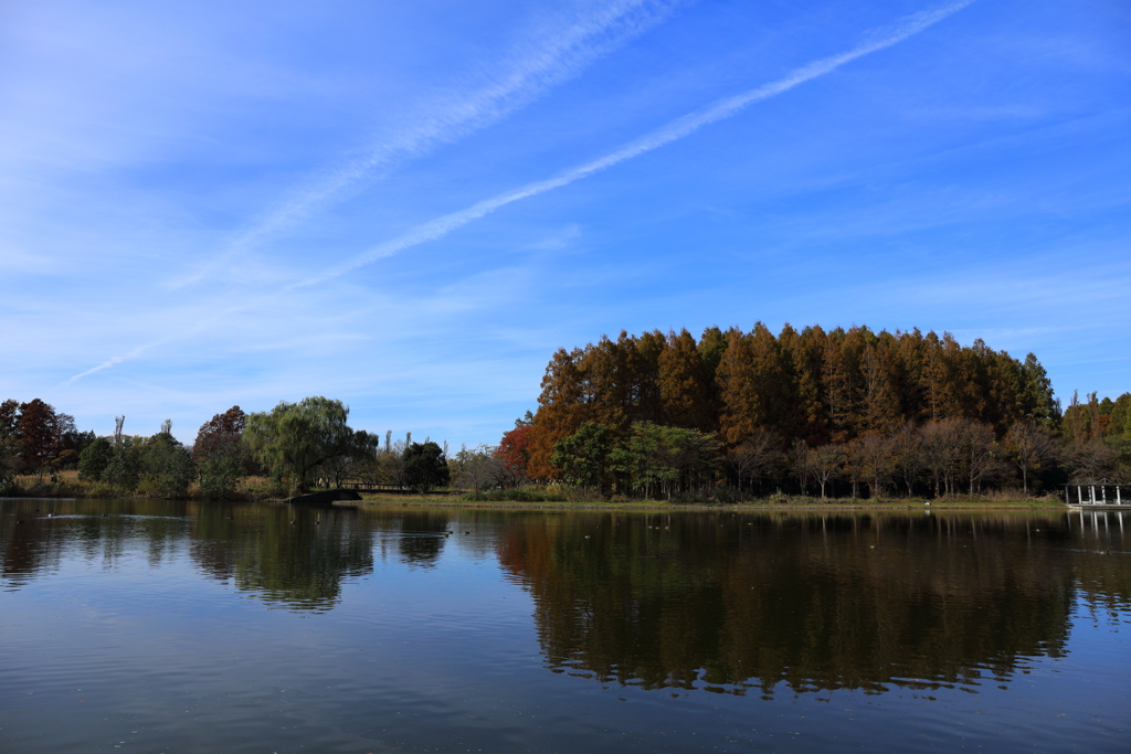 追悼　ブルースカイブルー