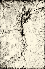 割れ目、いろいろ