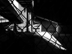 フェンスの向こうに何がある