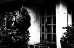 お茶しませんか