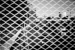 網の向こうはせせこましかった