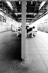 明日はどっちだ