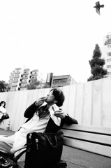 カモメが飛んだ日