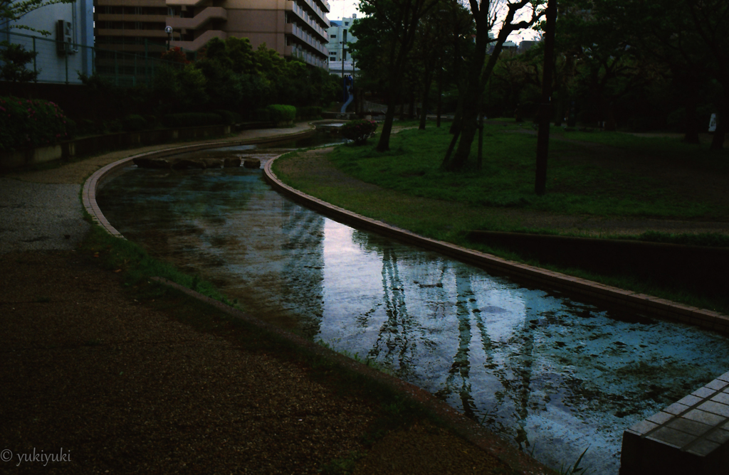 公園の輝き