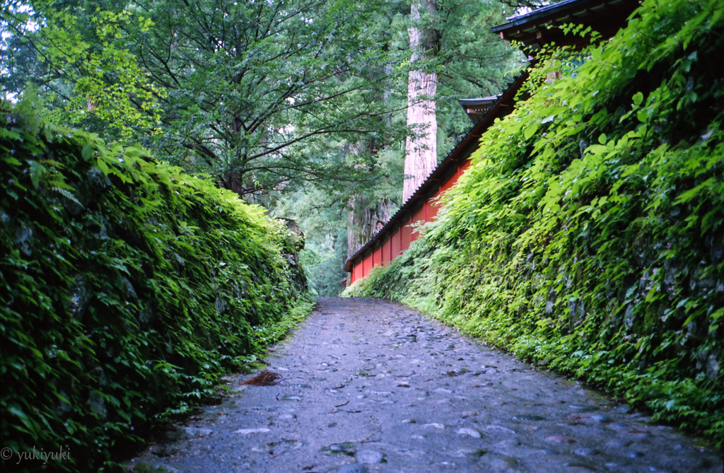 これがマイナスイオンだ