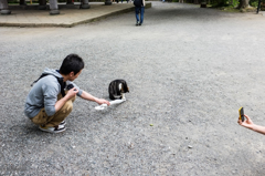 ネコを撮ろうよ