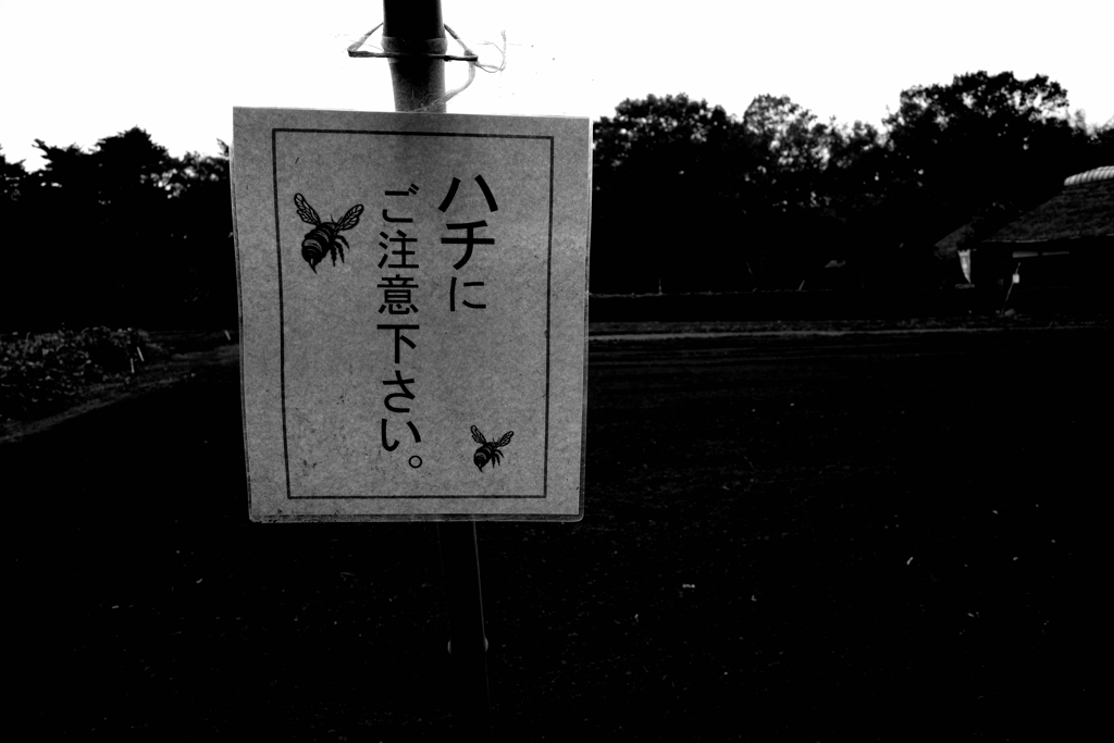 ハチのように刺す