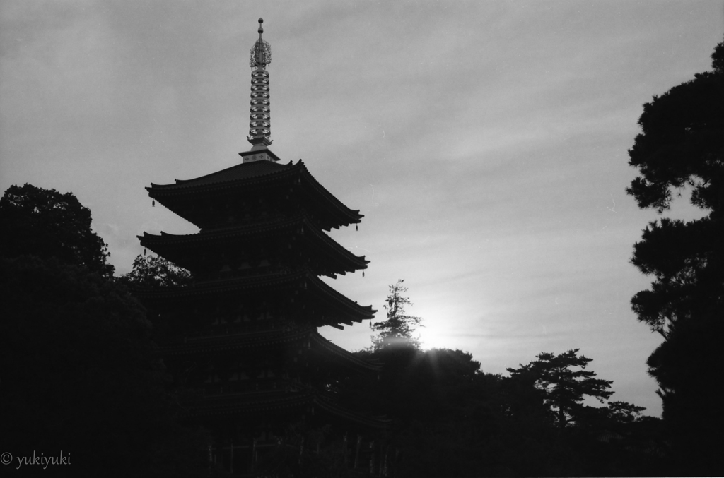 不動