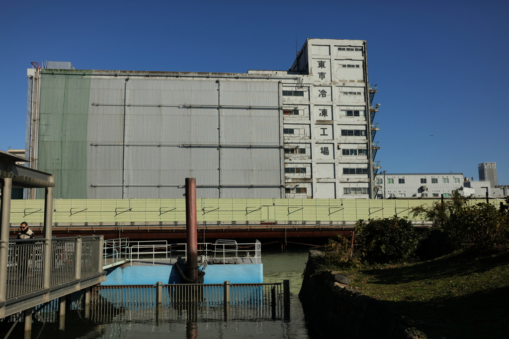 彼女の日曜日と冷凍